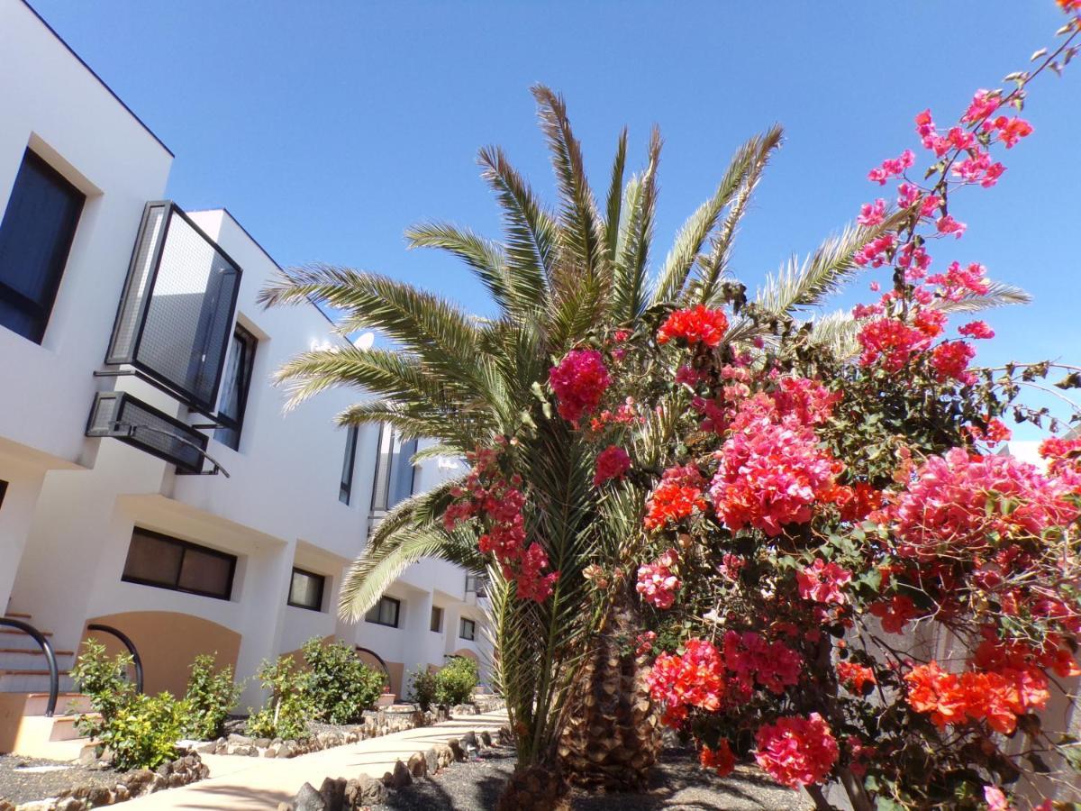 Amaya Ocean View Apartment Costa De Antigua Exterior photo